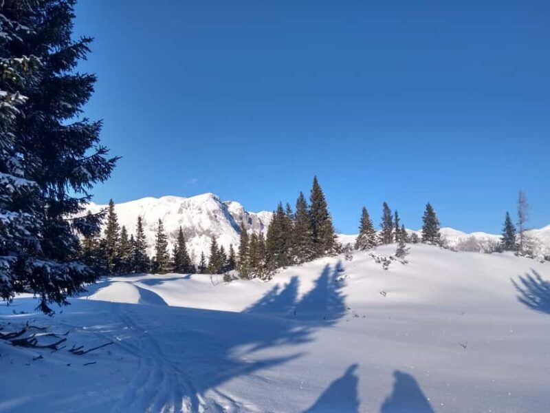 Vienna: 2-day Alpine Mountain Hiking Tour Guide and Transfer - Accommodation and Food