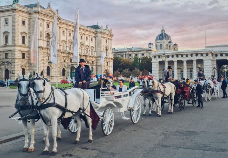 Vienna: 30-Minute Fiaker Ride in the Old Town - Key Points