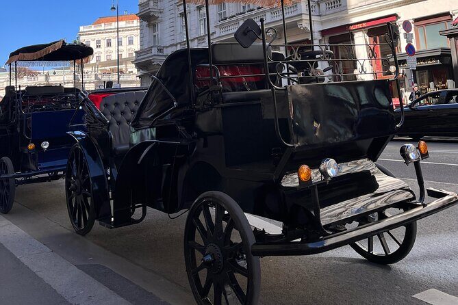 Vienna: 60 min. Royal E-Carriage Sightseeing Tour with Drinks - An Honest Breakdown of the Experience