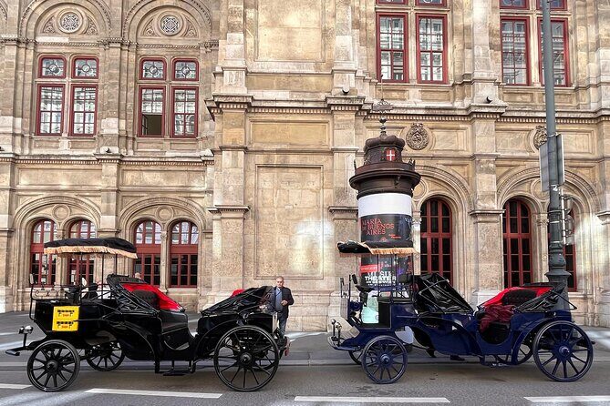 Vienna: 60 min. Royal E-Carriage Sightseeing Tour with Drinks - Who Is This Tour Best For?