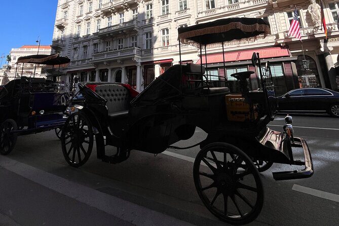 Vienna: 60 min. Royal E-Carriage Sightseeing Tour with Drinks - Frequently Asked Questions