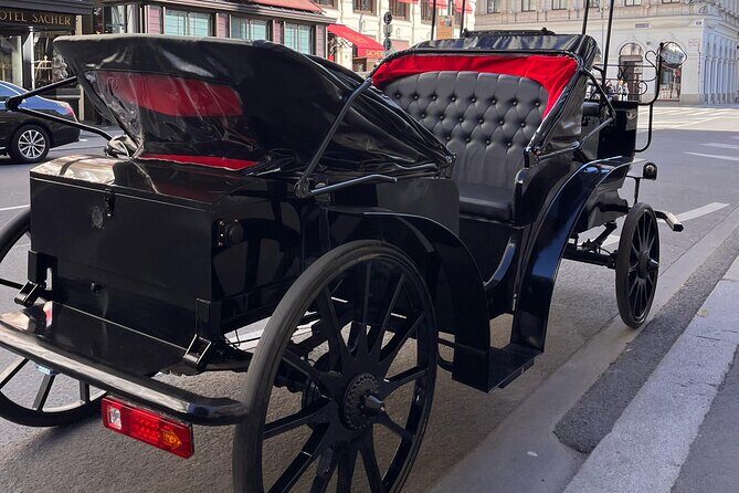Vienna: 60 min. Royal E-Carriage Sightseeing Tour with Drinks - Final Thoughts