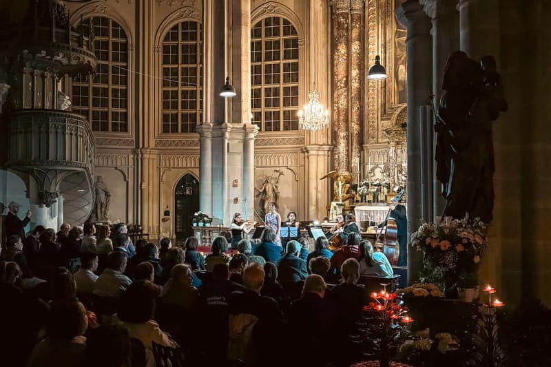 Vienna: Advent, Christmas and New Year's Concerts - Practical Tips for Attending