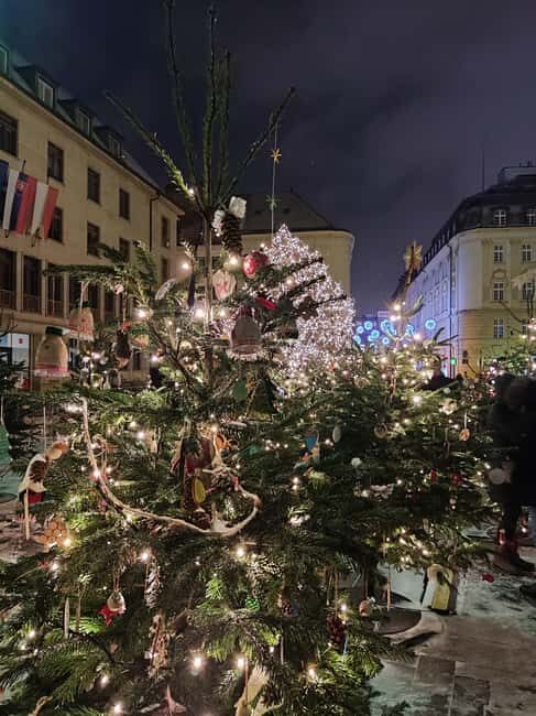 Vienna: Bratislava Christmas Market & Devin Castle Tour - Considerations and Potential Downsides