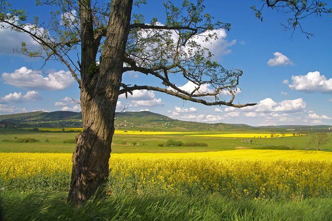 Vienna-Budapest One-Way Sightseeing Transfer - The Itinerary in Detail