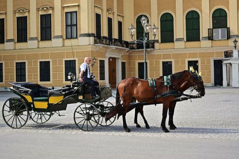 Vienna: Carriage Ride Through Schönbrunn Palace Gardens - Why a Carriage Ride Through Schönbrunn Gardens Is Worth Considering