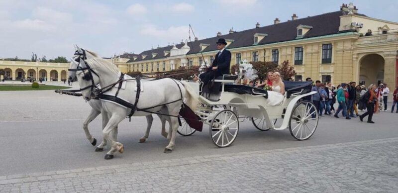 Vienna: Carriage Ride Through Schönbrunn Palace Gardens - Whats Included and What Not