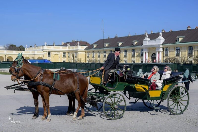 Vienna: Carriage Ride Through Schönbrunn Palace Gardens - The Experience from the Traveler Perspective