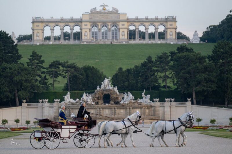 Vienna: Carriage Ride Through Schönbrunn Palace Gardens - Who Should Consider This Tour?