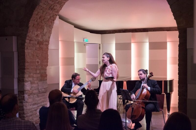 Vienna: Classical Concert at Mozarthaus with Museum Entry - The Highlights & Drawbacks