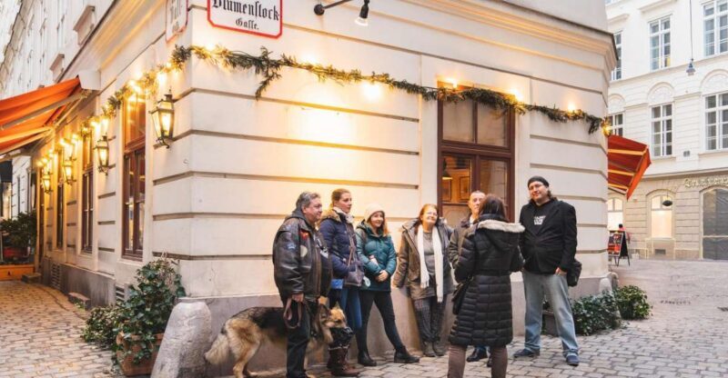 Vienna: Educational Walk Exploring Homelessness - Who Would Love This Tour?
