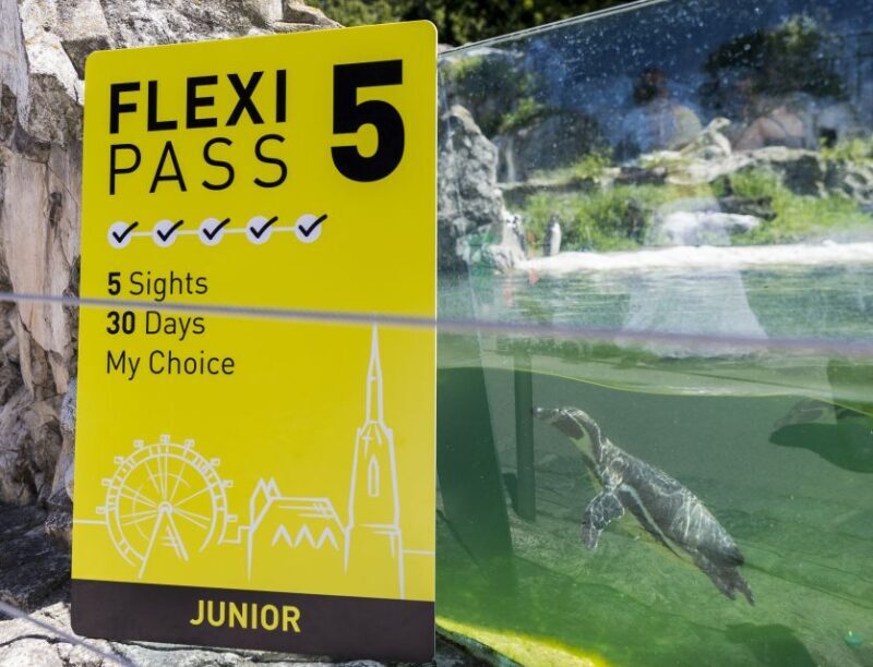 Vienna: Flexipass for 2, 3, 4 or 5 Top Sights - User Experience and Feedback