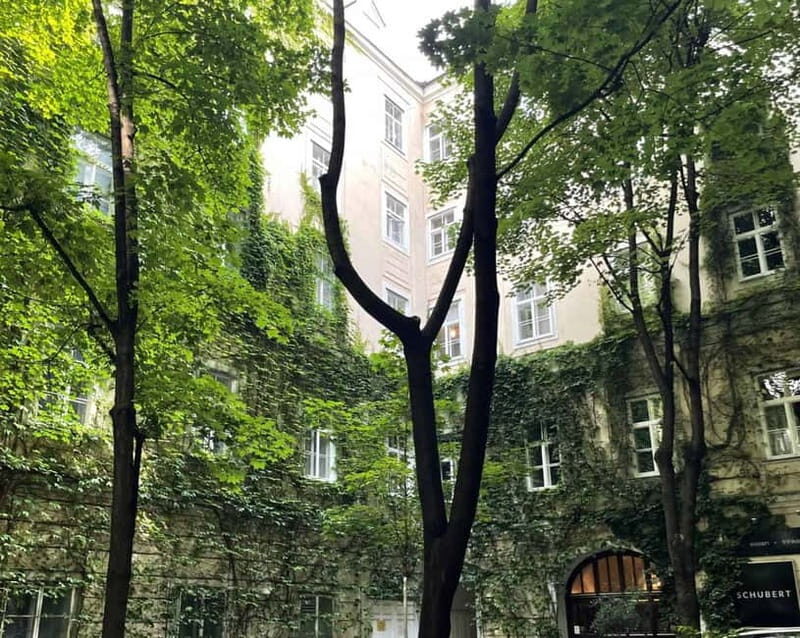 Vienna: Hidden courtyards Guided walking tour - Who Will Love This Tour?