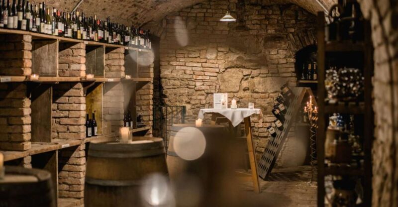 Vienna: Hidden Wine Cellars Tasting Experience - Who Should Consider This Tour?