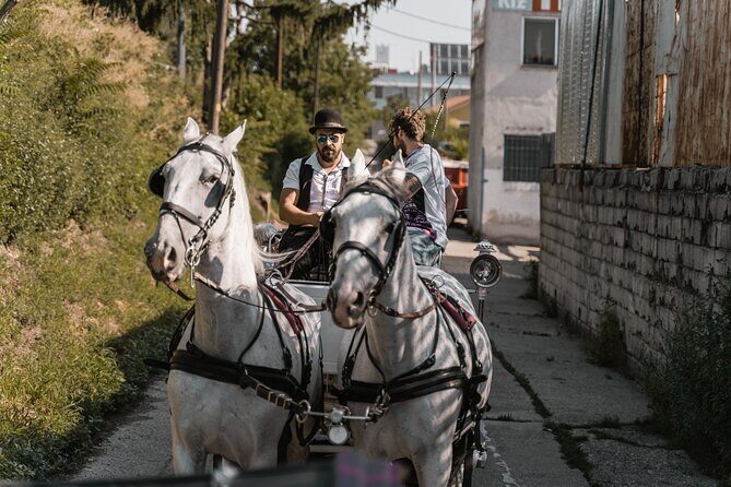 Vienna Horse-drawn Carriage Guided Tour - The Bottom Line: Who Will This Tour Suit?