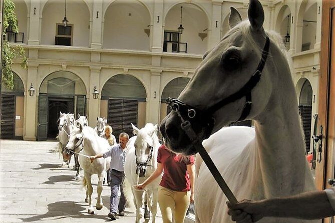 Vienna Inner City Highlights Private Walking Tour - FAQs