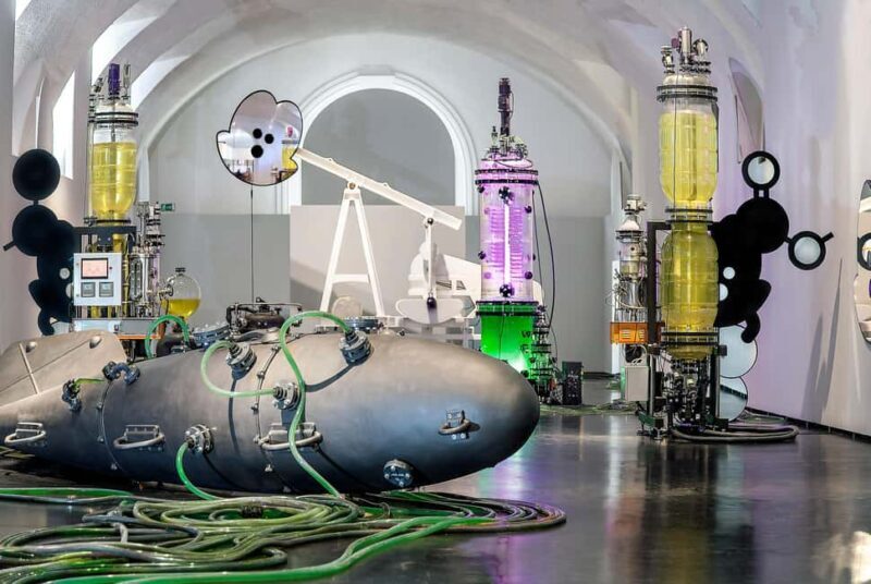 Vienna: MuseumsQuartier Entry to MQ Freiraum Exhibit - Exploring the MuseumsQuartier Wien