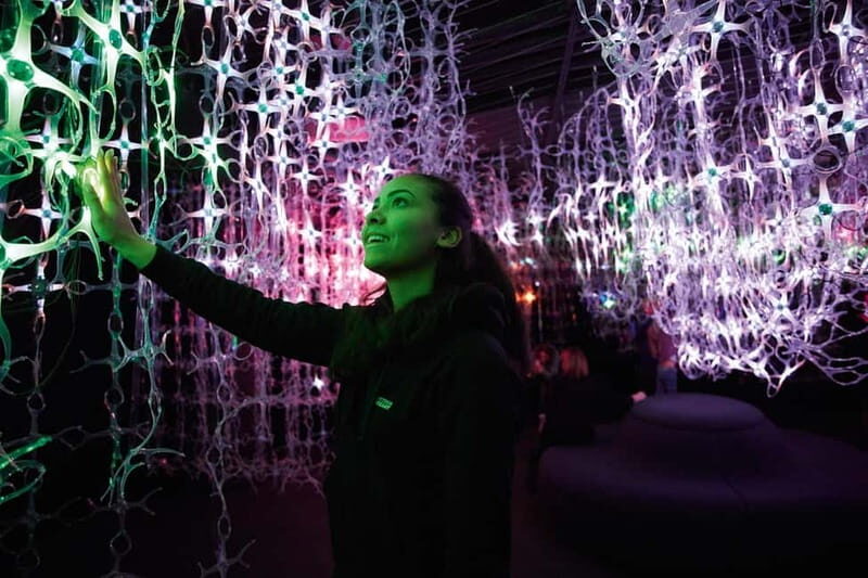 Vienna: Mythos Mozart Experience Ticket& Guided Walking Tour - Key Points