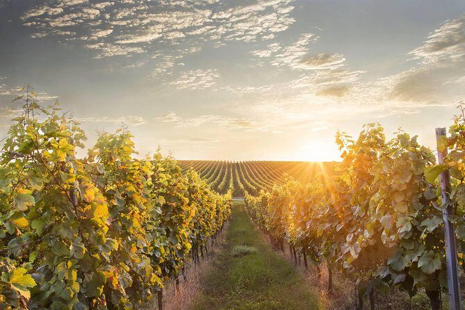 Vienna-Prague One-Way Sightseeing Tour Bus - The Practical Aspects