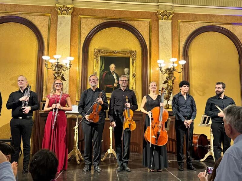 Vienna: Private Classical Music Tour, Museum Entry & Concert - What to Expect from the Tour