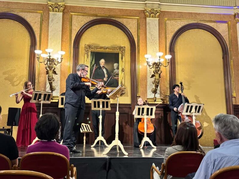 Vienna: Private Classical Music Tour, Museum Entry & Concert - Price and Value