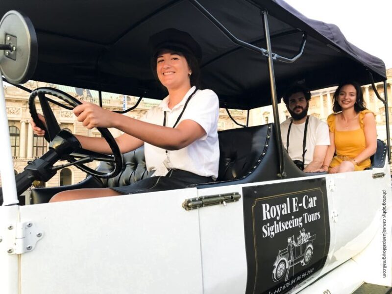 Vienna: Private Electric Car Sightseeing Tour - Key Points