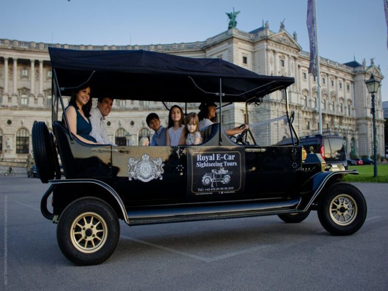 Vienna: Private Electric Car Sightseeing Tour - Final Thoughts