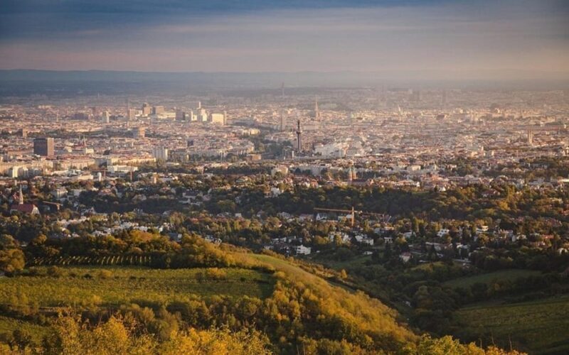 Vienna: Private Half-Day Sightseeing Tour with a Local - FAQ