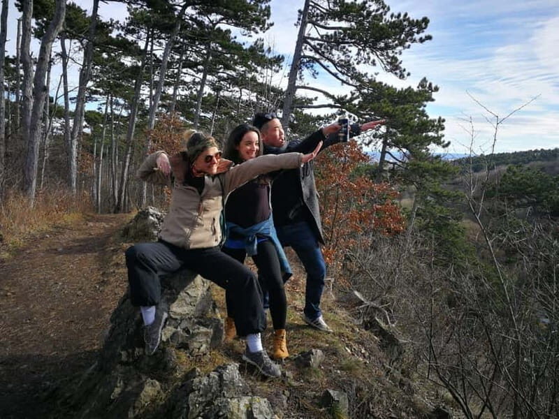 Vienna: Private Walking Tour Through the Hilly Countryside - Real Traveler Feedback