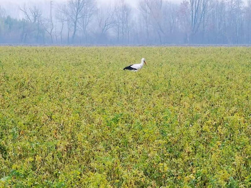 Vienna: Private Walking Tour Through the Hilly Countryside - Who Should Consider This Tour?