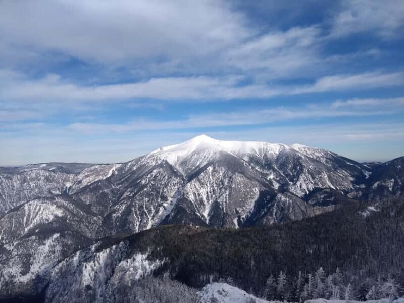 Vienna: Relaxed Alpine Snowshoe Experience Guide & Transfer - What to Expect from the Snowshoe Tour