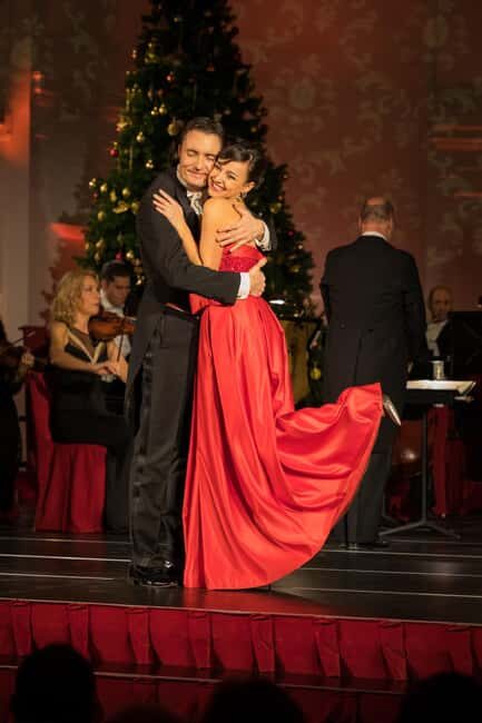 Vienna: Schönbrunn Christmas Market and Classical Concert - An In-Depth Look at the Experience