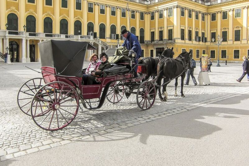 Vienna: Schönbrunn Palace & Gardens Skip-the-Line Tour - Final Thoughts