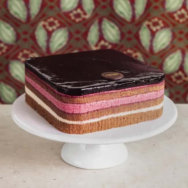 Vienna: Secrets and Scandals with Cake at Cafe Landtmann - What you should know before booking