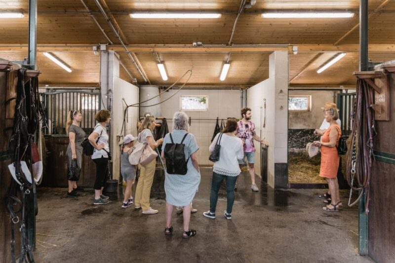 Vienna: Secrets of the Fiaker & Horse-Drawn Carriage Ride - What to Expect from the Experience