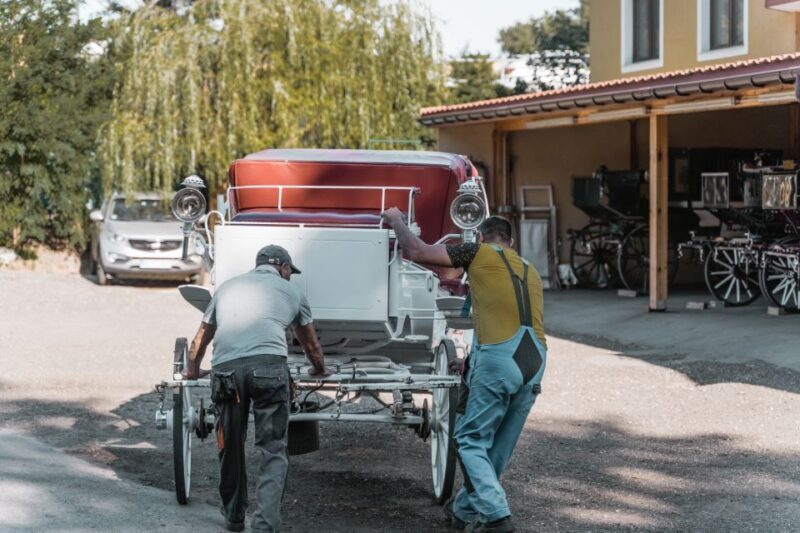 Vienna: Secrets of the Fiaker & Horse-Drawn Carriage Ride - Final Thoughts: Is This Tour for You?