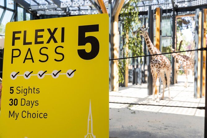 Vienna Sightseeing FLEXI Pass - Downsides to Keep in Mind