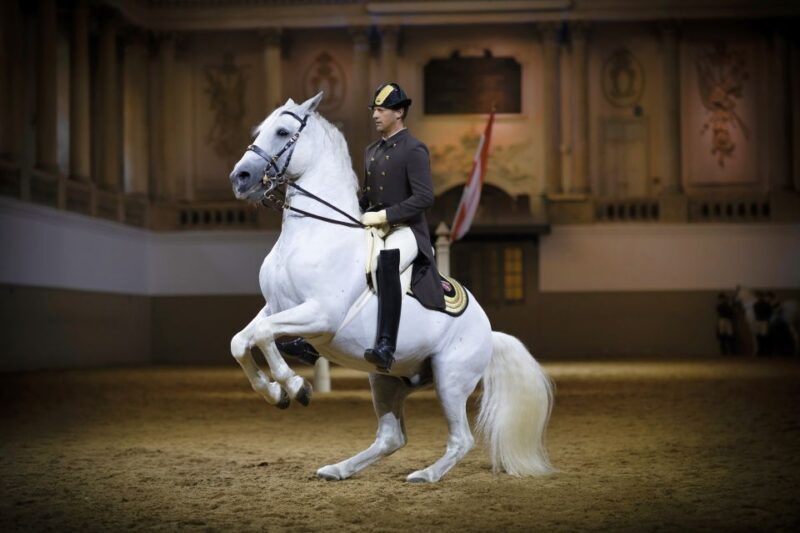 Vienna: Spanish Riding School 45-Minute Performance Show - An In-Depth Look at the Spanish Riding School Performance