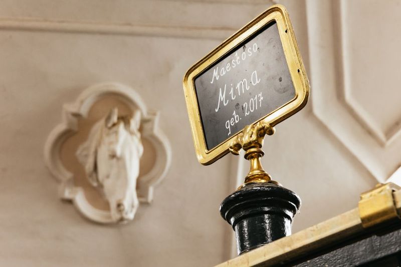Vienna Spanish Riding School Guided Tour - Tack Room and Arena Time: The Stuff You Don’t See in Photos