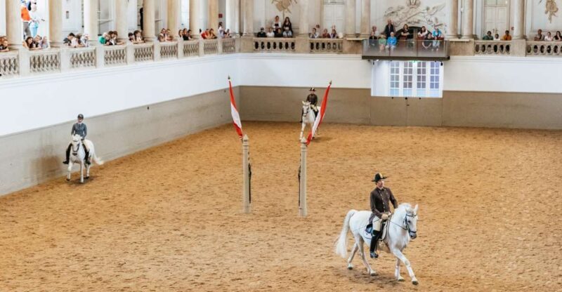 Vienna: Spanish Riding School Training - The Experience: What to Expect