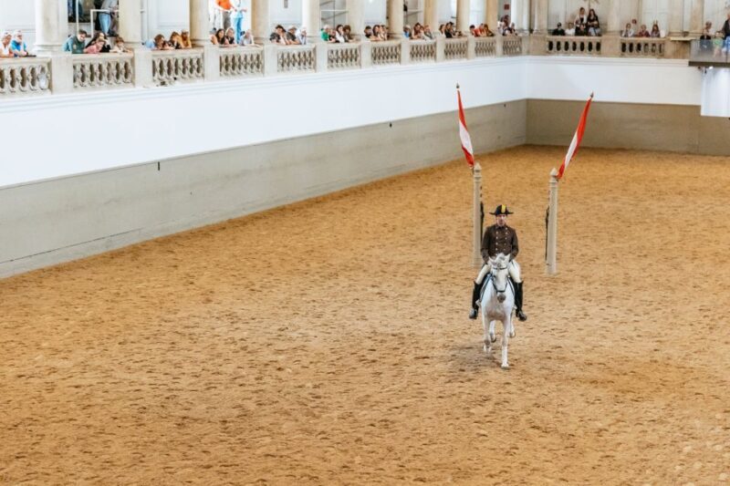 Vienna: Spanish Riding School Training - How the Reviews Reflect the Experience