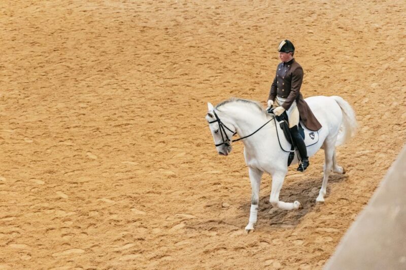 Vienna: Spanish Riding School Training - FAQ