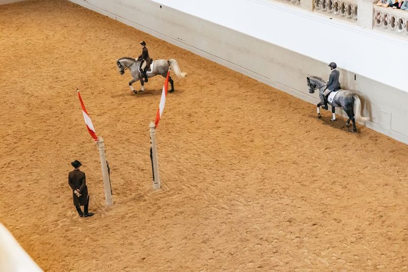 Vienna: Spanish Riding School Training - Training Day Reality: How Many Horses You See