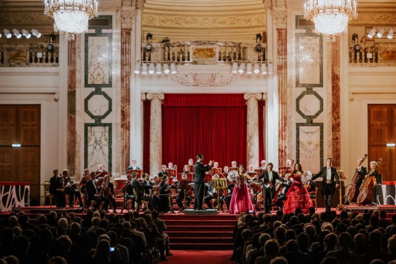 Vienna: Strauss and Mozart Concert at Hofburg Palace - Who Should Consider This Experience?