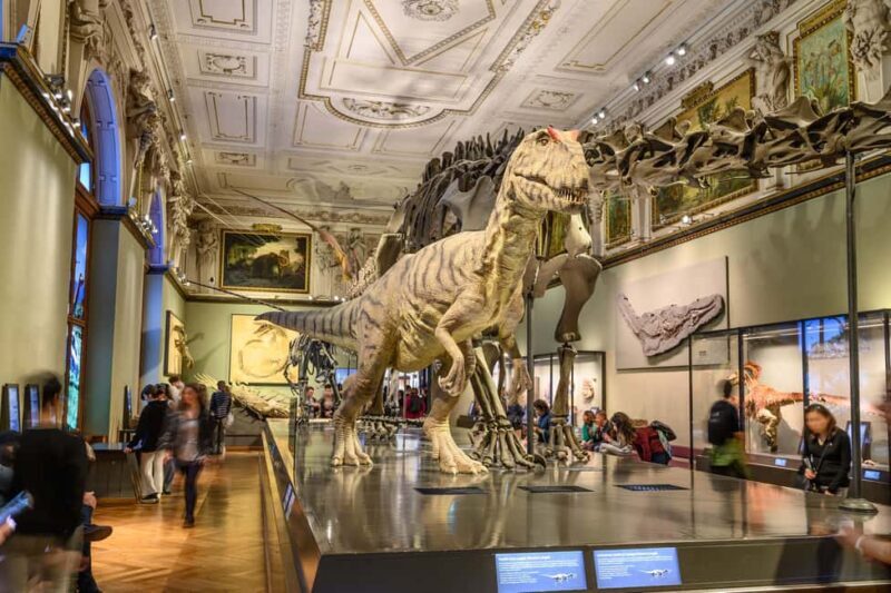 Vienna: Ticket to the Museum of Natural History - Key Points