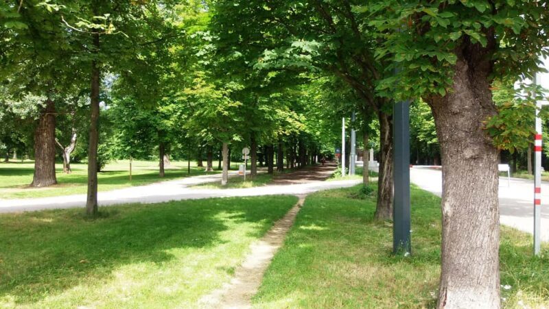 Vienna: Tours of the Strauss Waltzes, historical walks - Exploring the Tour’s Details and Highlights