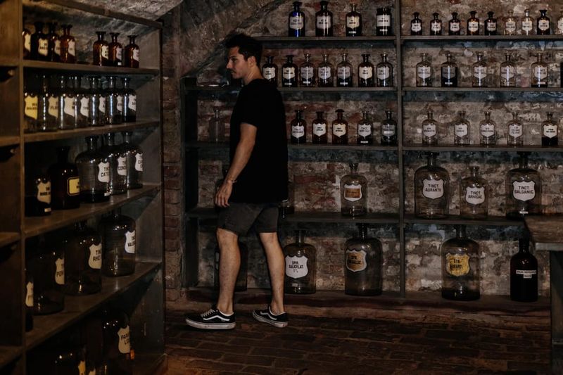 Vienna: Viennese Underworld Guided Walking Tour - What You’ll See: Basements and Hidden Corridor Secrets