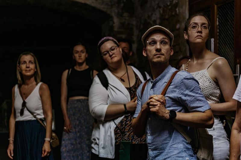 Vienna: Viennese Underworld Guided Walking Tour - Audio Guide Tips: Make the English Option Actually Work
