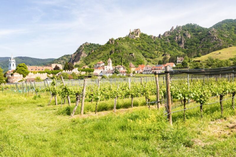 Vienna: Wachau, Melk Abbey, and Danube Valleys Tour - The Experience: What Travelers Are Saying