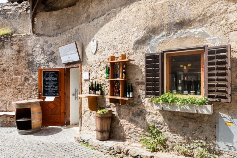 Vienna: Wachau, Melk Abbey, and Danube Valleys Tour - Wrapping It Up